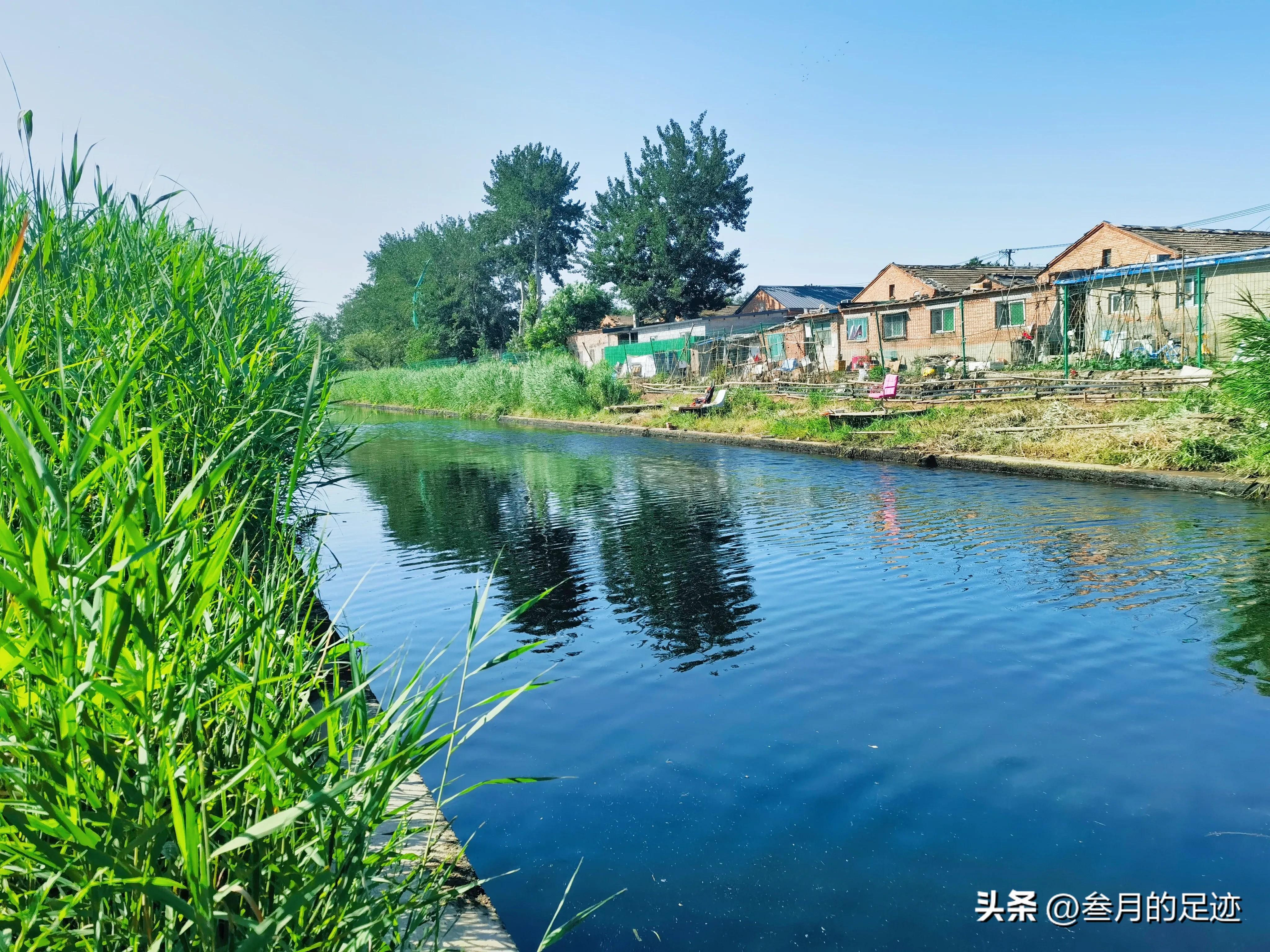 北京有铁道的公园,北京有哪些免费网红公园