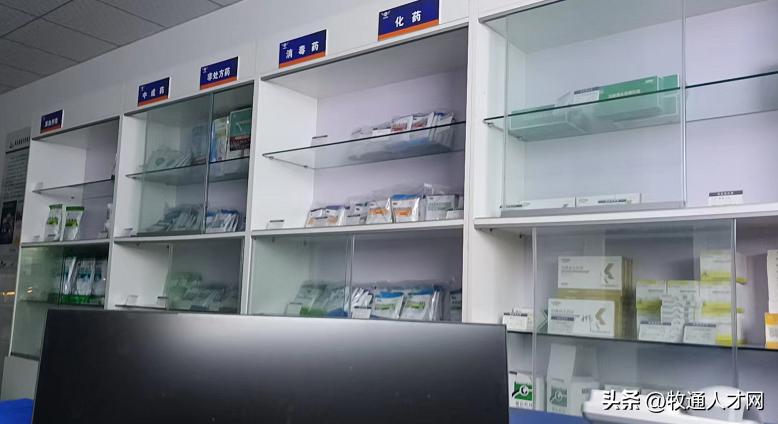 啥罪都遭过！学兽医专业的人都很苦？养猪、配种、防疫、做检测