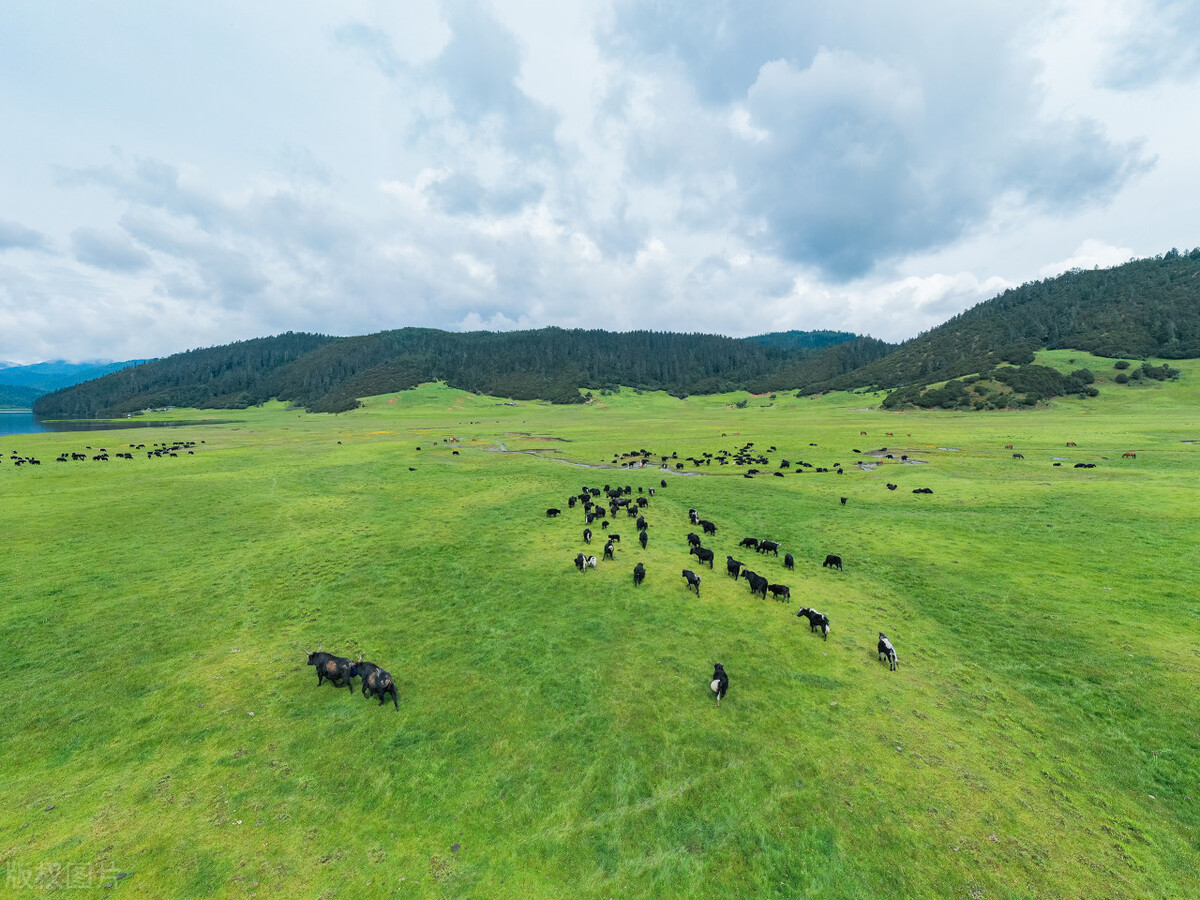 自驾哪里最好玩中国十大自驾游,自驾游5大经典路线自驾游攻略