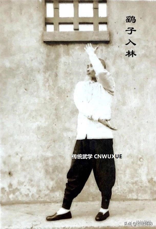 练拳不竭的动力---艾君老师谈拳集录