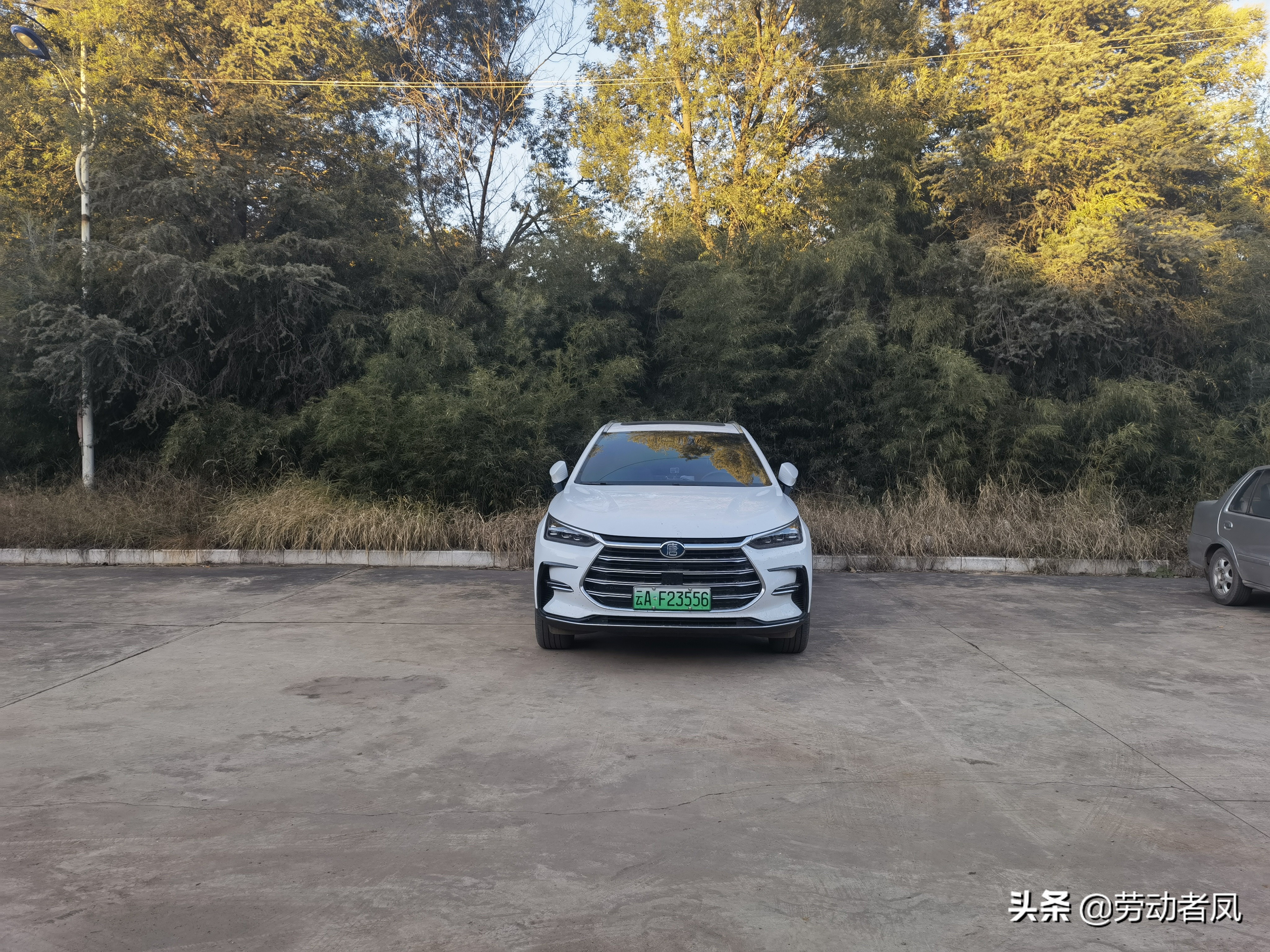 唐dmp前挡风玻璃自爆,唐dmi前挡风玻璃破了走保险吗