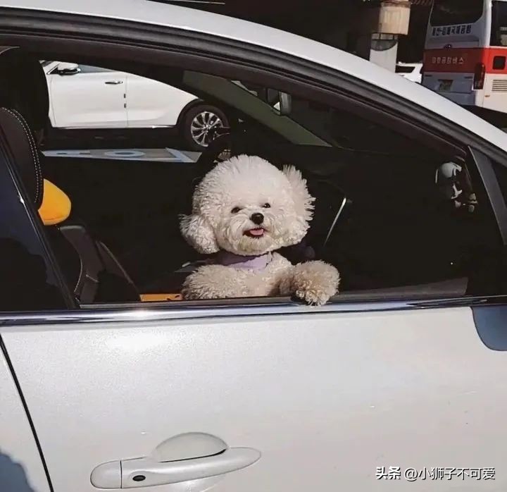 情侣动漫头像文案,微信情侣头像一男一女动漫情侣