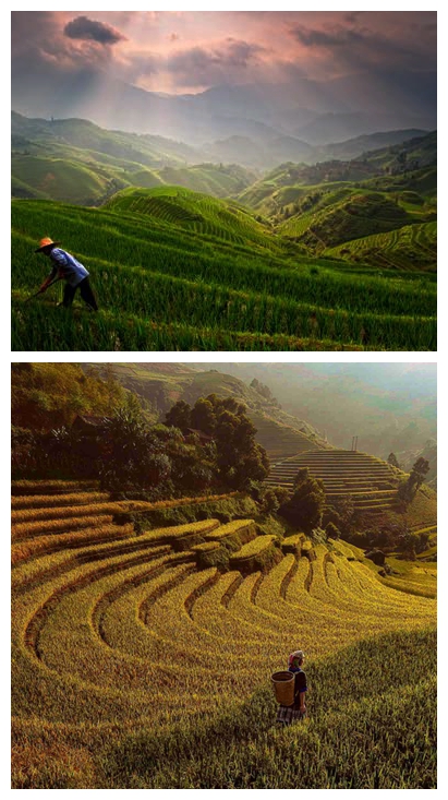 桂林有哪些可以拍写真照的地方,桂林最好的摄影地方