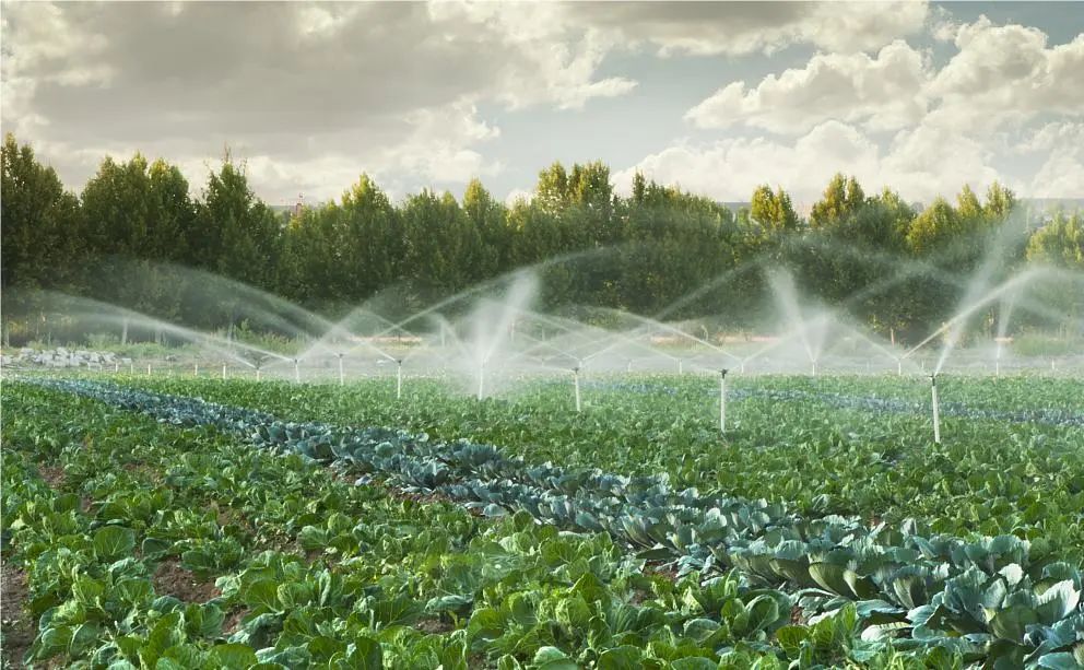 乡村振兴培训品牌标准,农创品牌成为乡村振兴新抓手