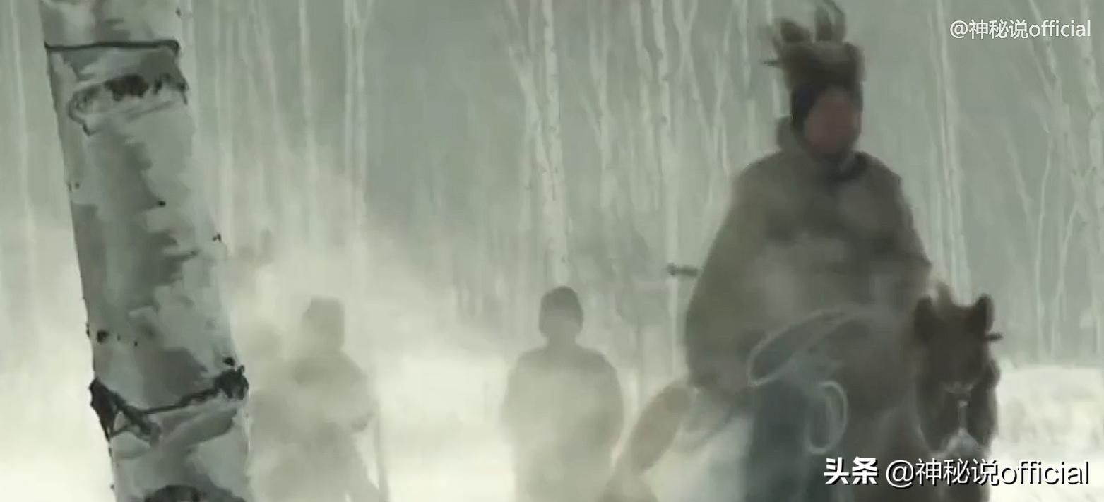 护林员发现野生大熊猫幼崽,山中野人被村民成功抓住