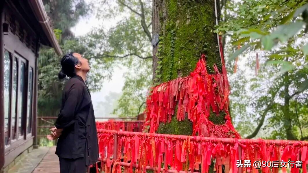 走进山间的小路感受大自然,成都深山老林旅游最好去处