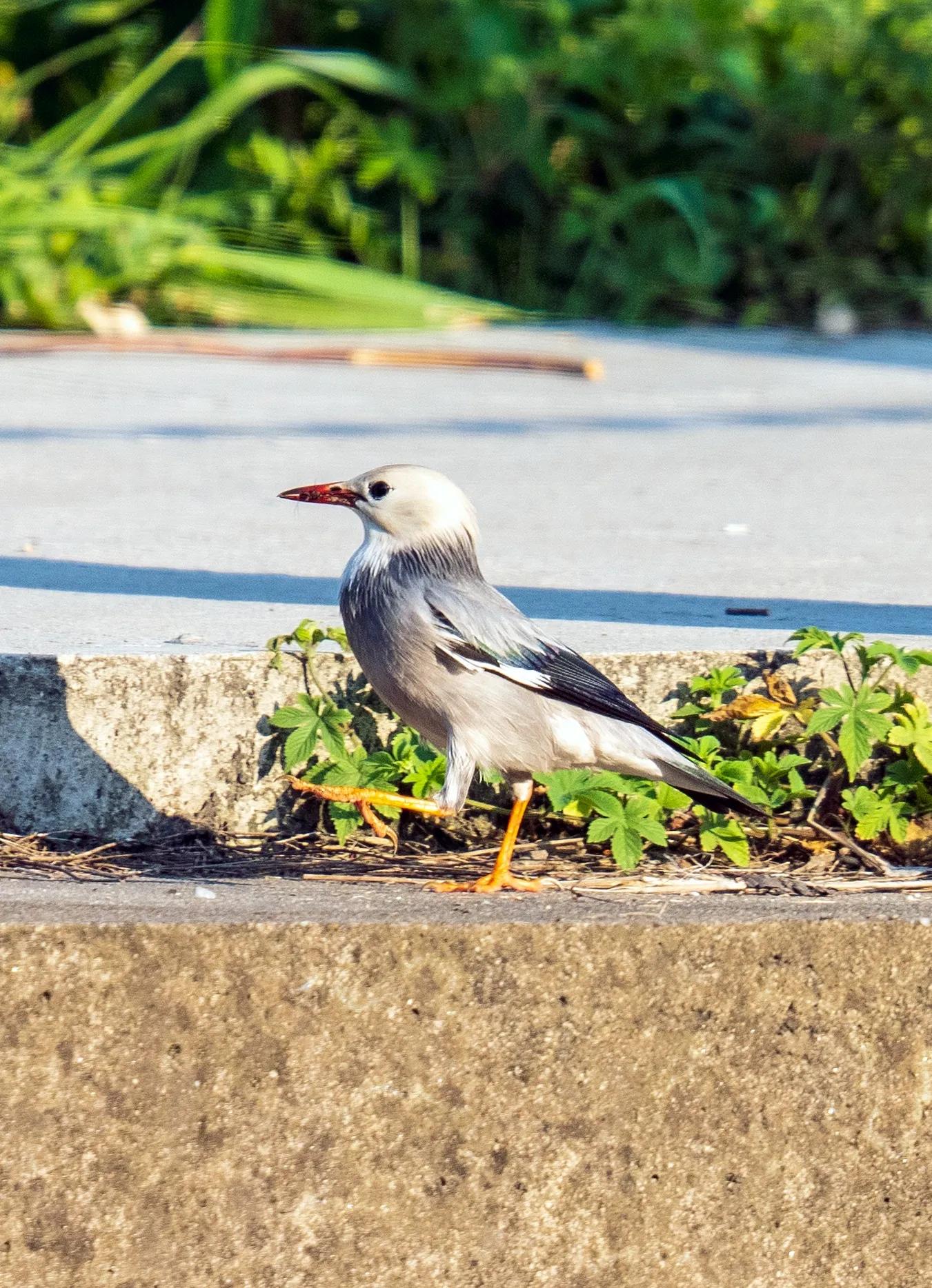 上海市嘉定区安亭国际汽车城,上海嘉定安亭国际汽车城