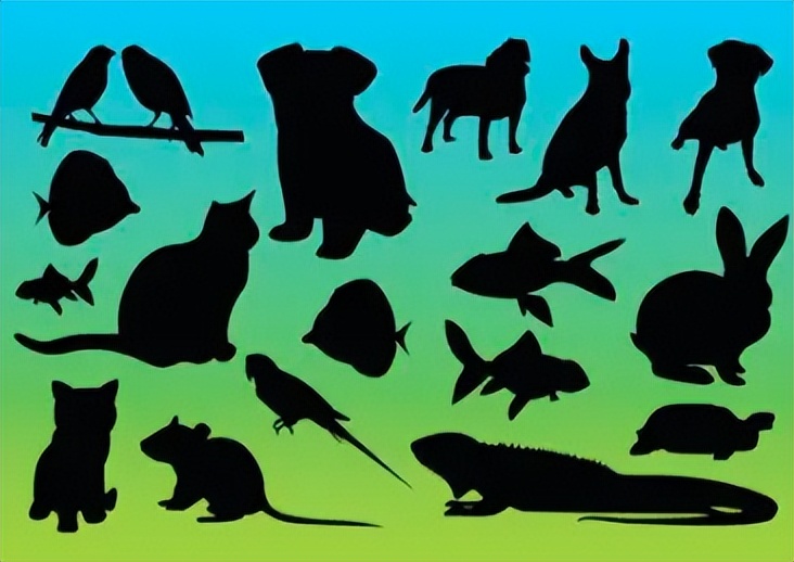 「跨文化-中」牛、孔雀、喜鹊、狗在东西方文化中的不同