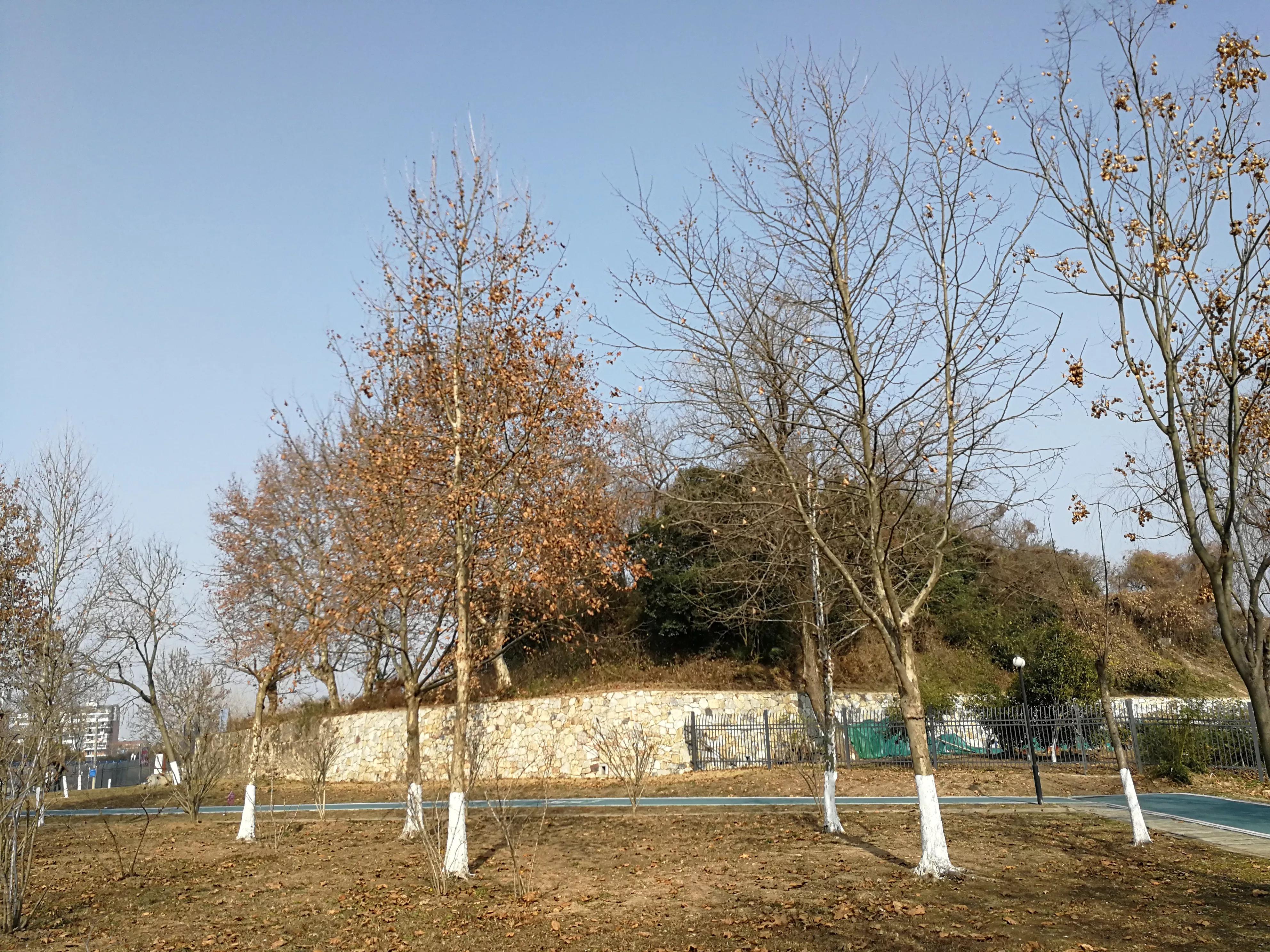 武汉纱帽山遗址,武汉纱帽山