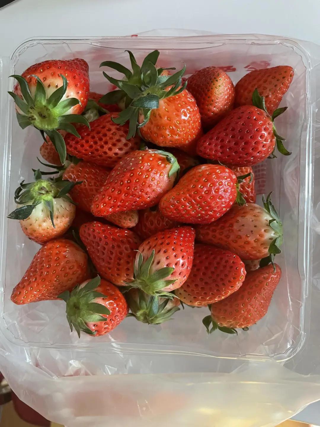 吃最贵的日本草莓,你吃过吗150元一斤的菠萝味草莓