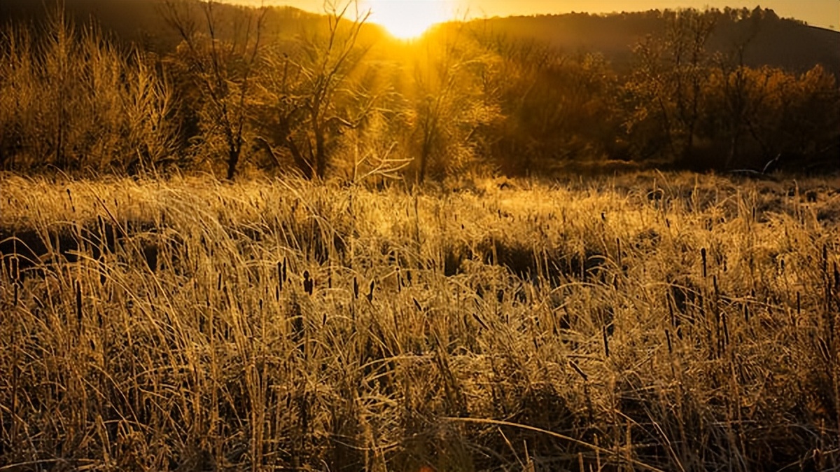 动听的音乐美文,音乐美文推荐