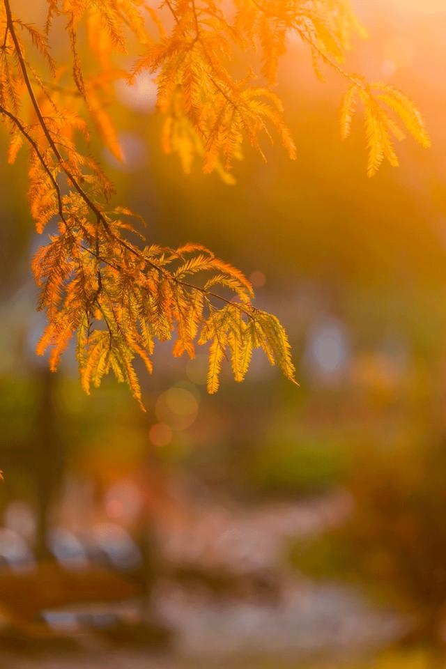 我不是天生强大而是天生要强,没有人天生就比谁更聪明