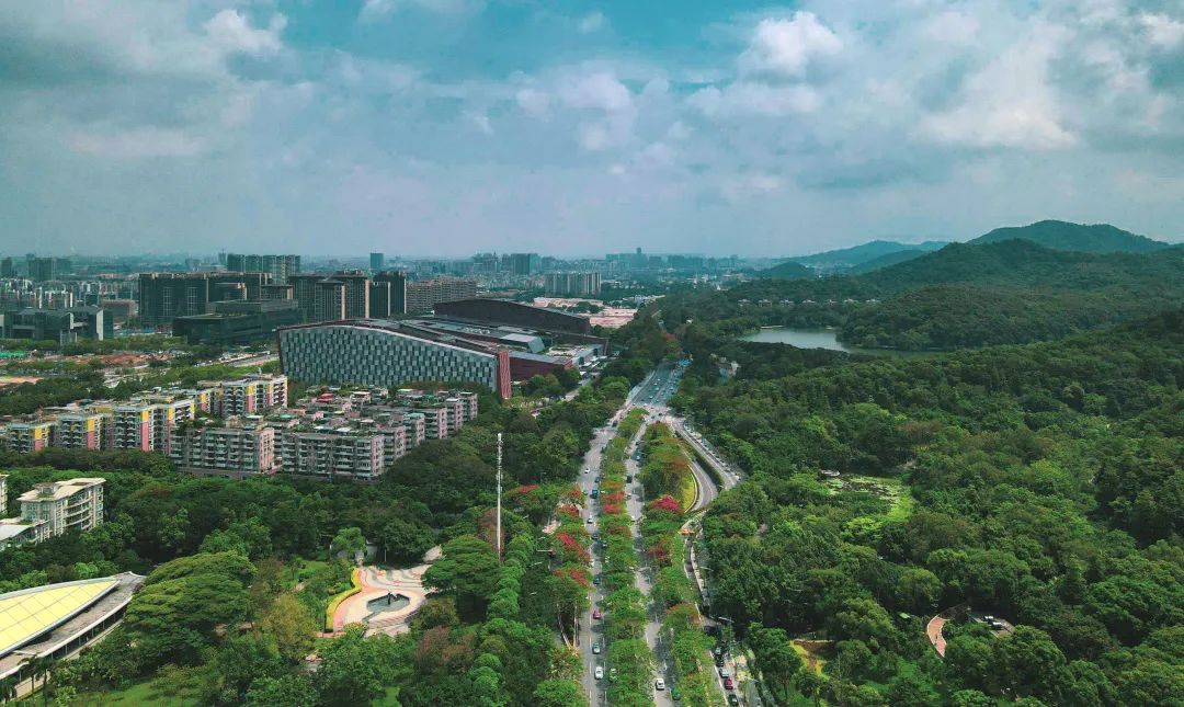 白云说：“广州乐土”“后发优势”，你在赞我还是diss我？