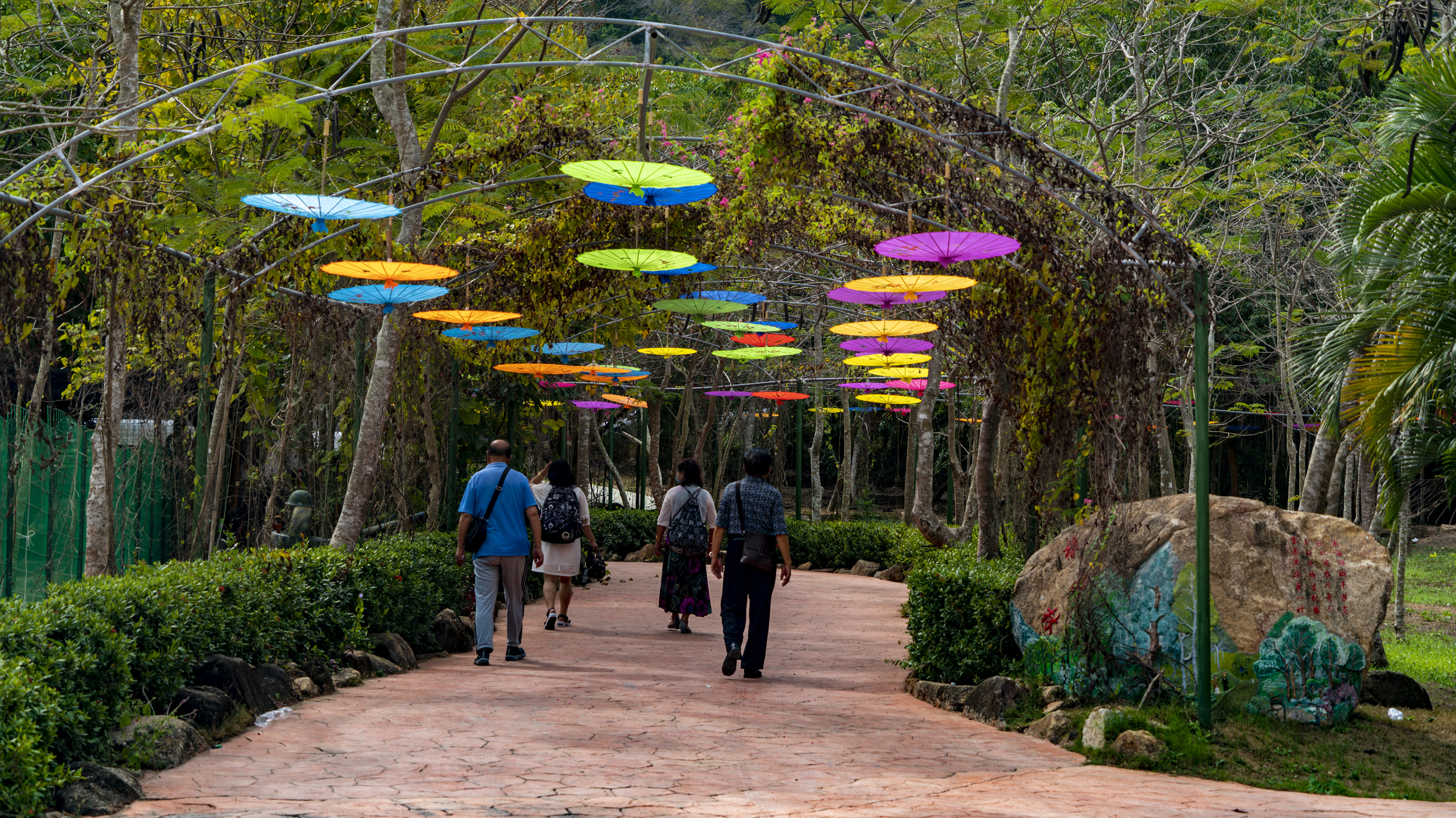 三亚天行森林公园门票,三亚天行森林公园旅游攻略