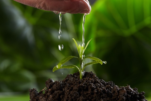 头条新人一个月涨粉1000,头条一个半月涨粉一千