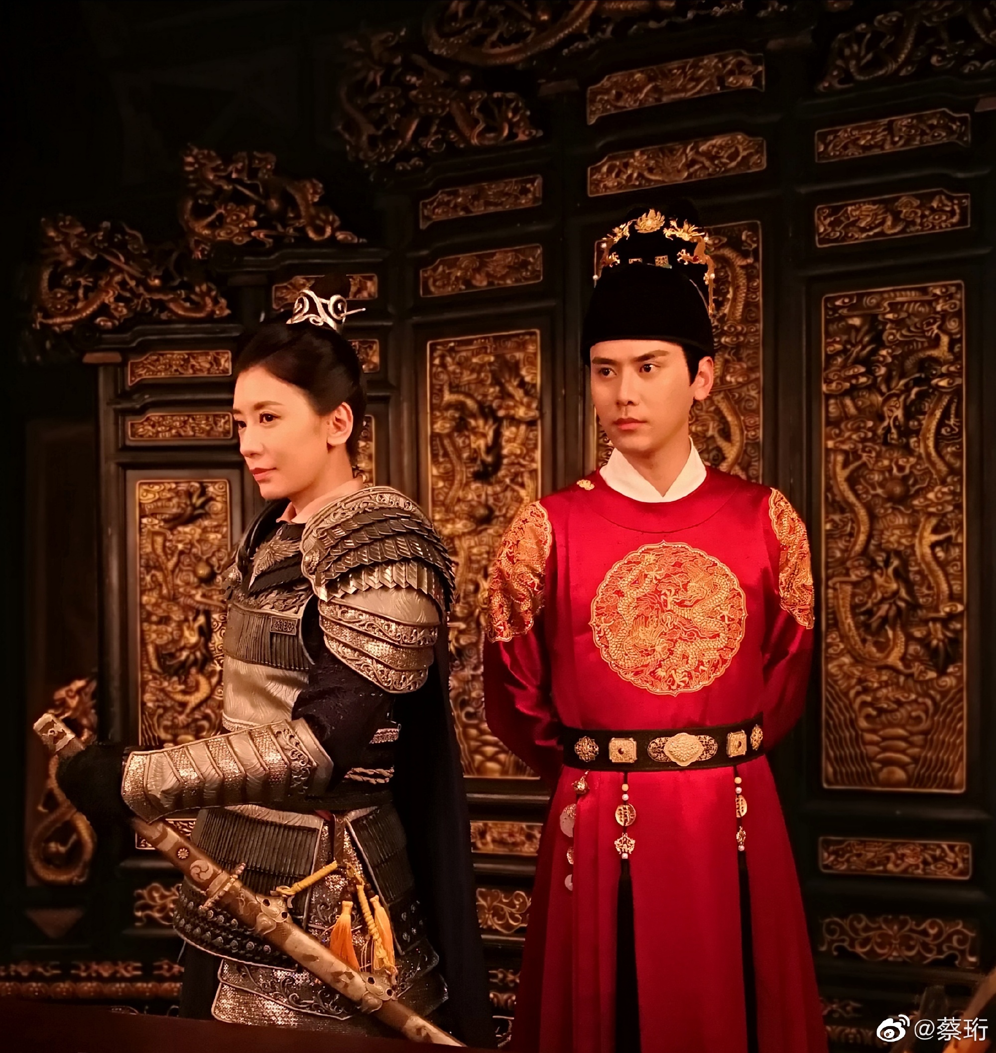 蔡珩简历,蔡珩代表作品