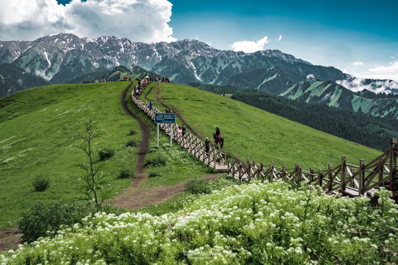 去新疆发现伊犁的美,世界之美尽在伊犁