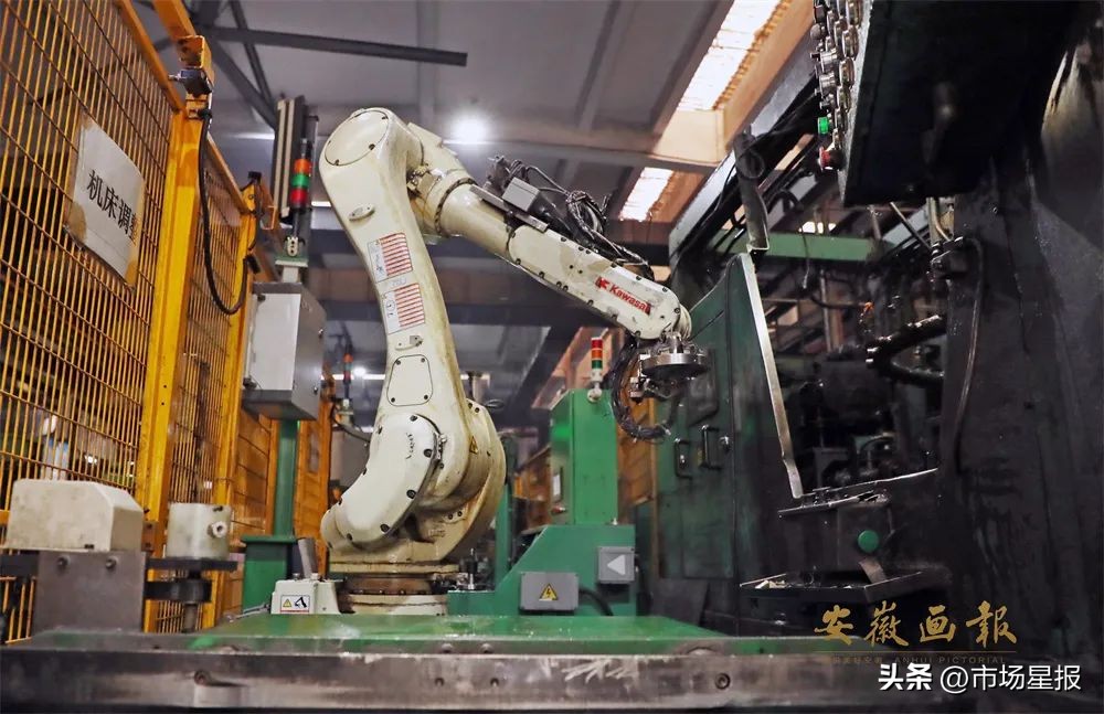 风华正安徽|含山含水，臻善臻美