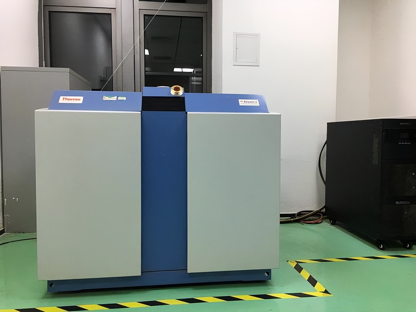 公母豚鼠体型对比,豚鼠雌雄区别