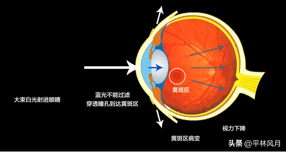 保护眼睛科学用眼小妙招,保护眼睛的十大方法及小妙招