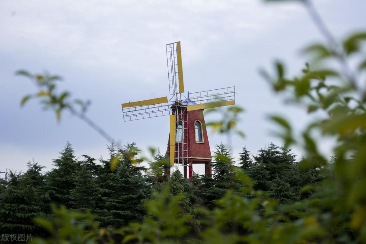 安阳学院最好专业排名,安阳学院最厉害的三个专业