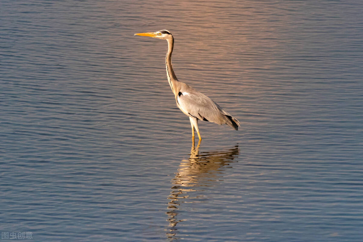 己所不欲勿施于人什么意思,己所不欲勿施于人的意思是什么