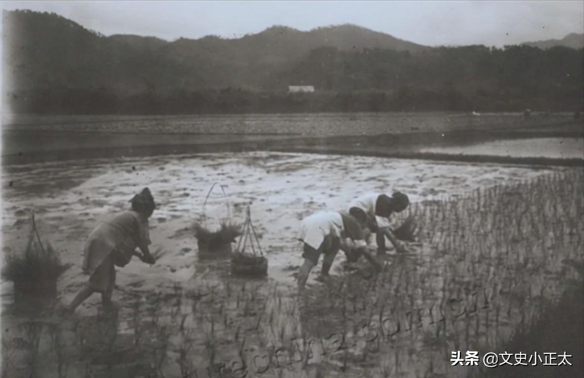 鲁迅儿时玩伴闰土的后人现在咋样,鲁迅闰土的后代100年后再聚首