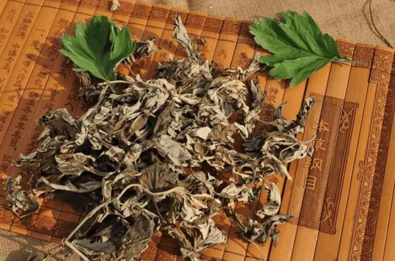 睡前坚持用艾叶泡脚的好处,睡前用艾叶泡脚坚持一个月有奇效