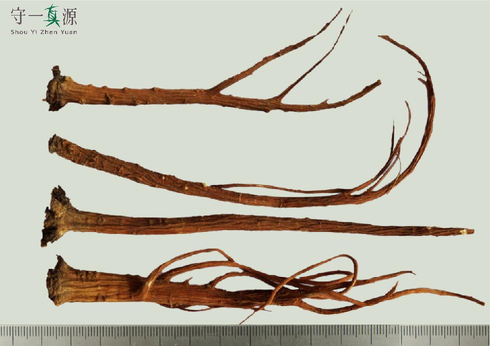 中药鉴定真假找谁,柴胡真假优劣鉴别