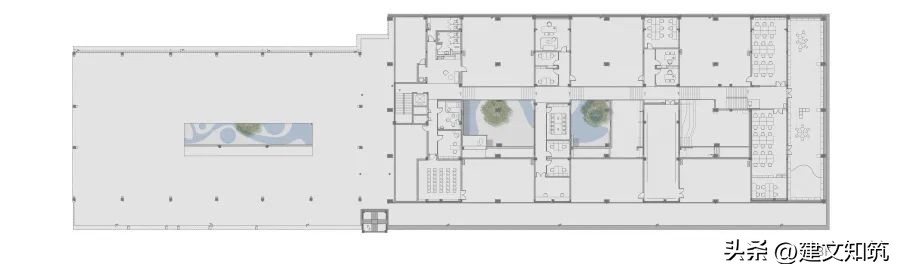深圳市南山区丽林维育学校学费,丽林维育学校深圳