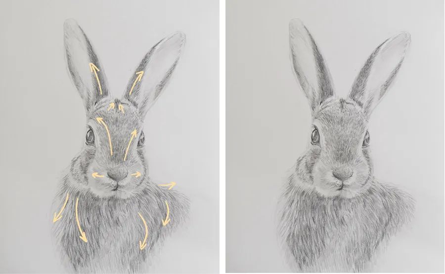 儿童画卡通小动物的步骤,儿童画创意兔子教案