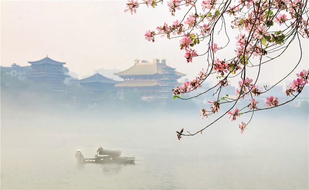 春天，我想到一座城，吃粉粉，看粉粉