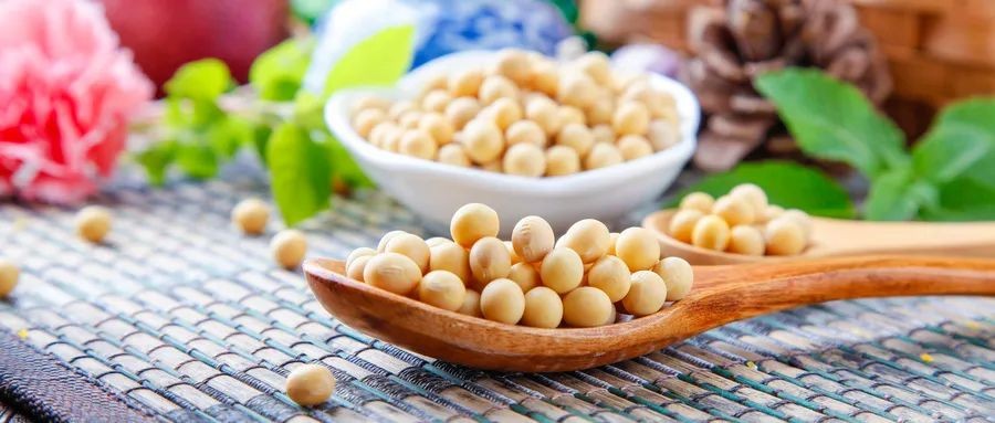 内脏引起的口臭怎么治,中医辨证口臭的原因