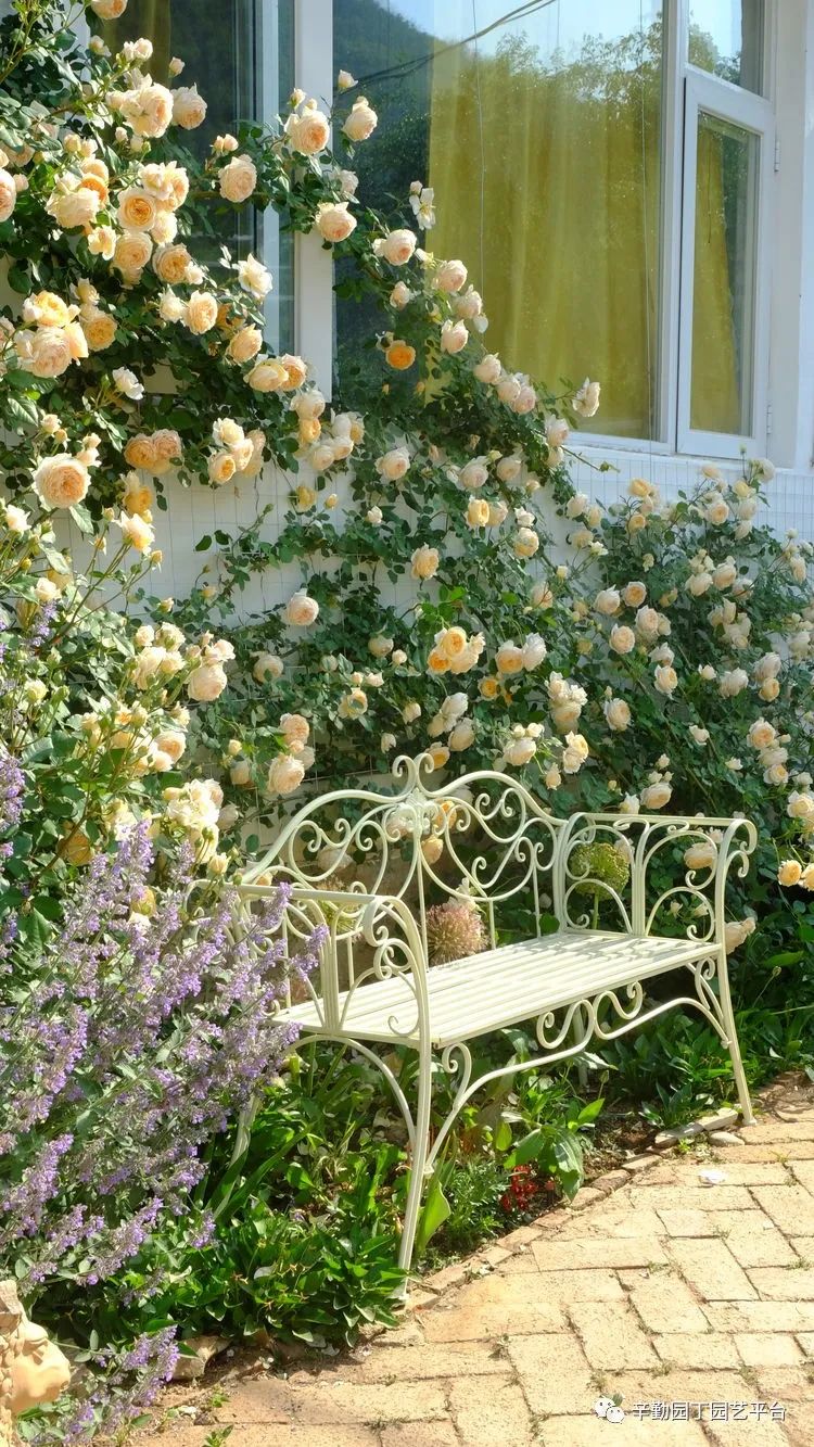 2022园丁奖花园组《001号》慢步时光花园