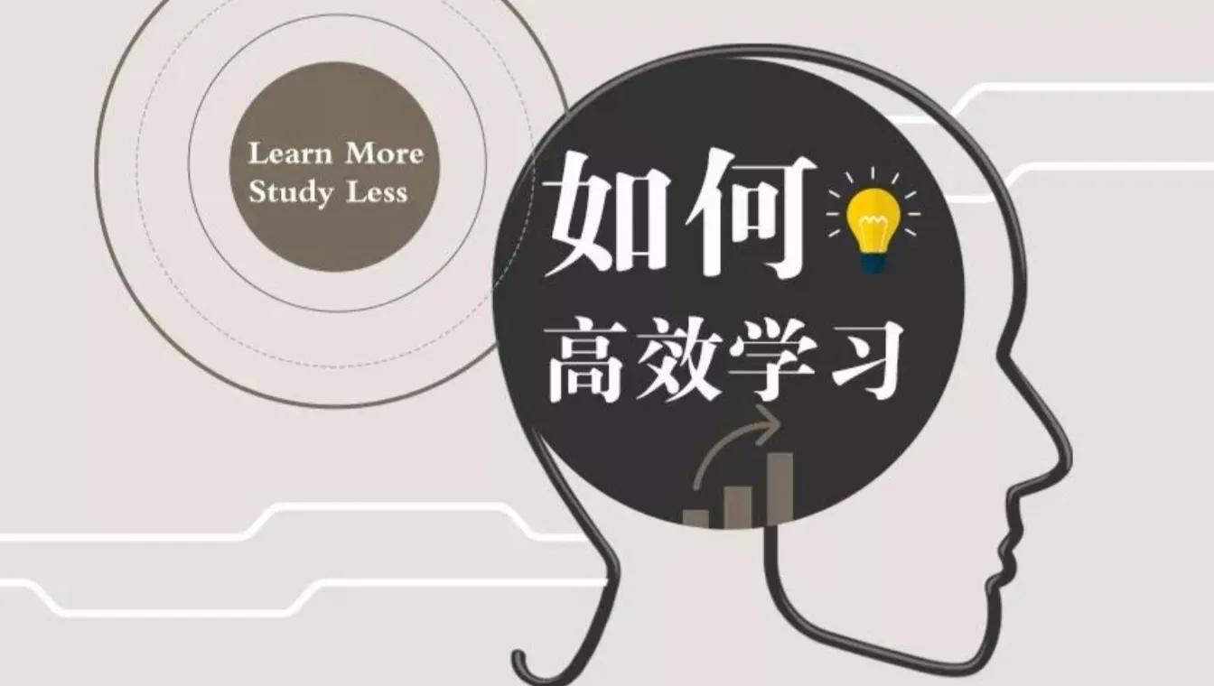 如何成为一个有效学习的高手,如何做一个明智的学习者