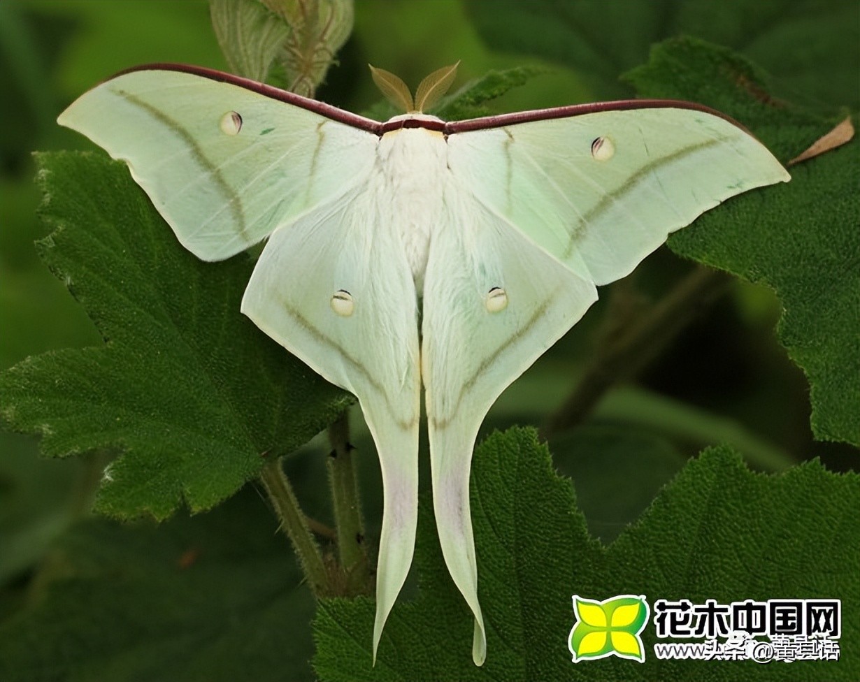下河抓鱼最好的办法,下河抓鱼是怎么抓的