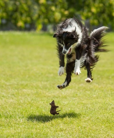 十大经典抓拍照片,100张绝美摄影照片