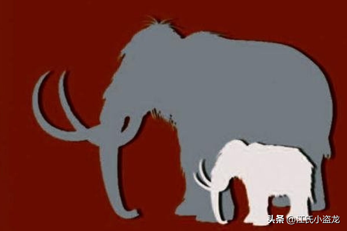 猛犸象遗迹,西普塔岛猛犸象