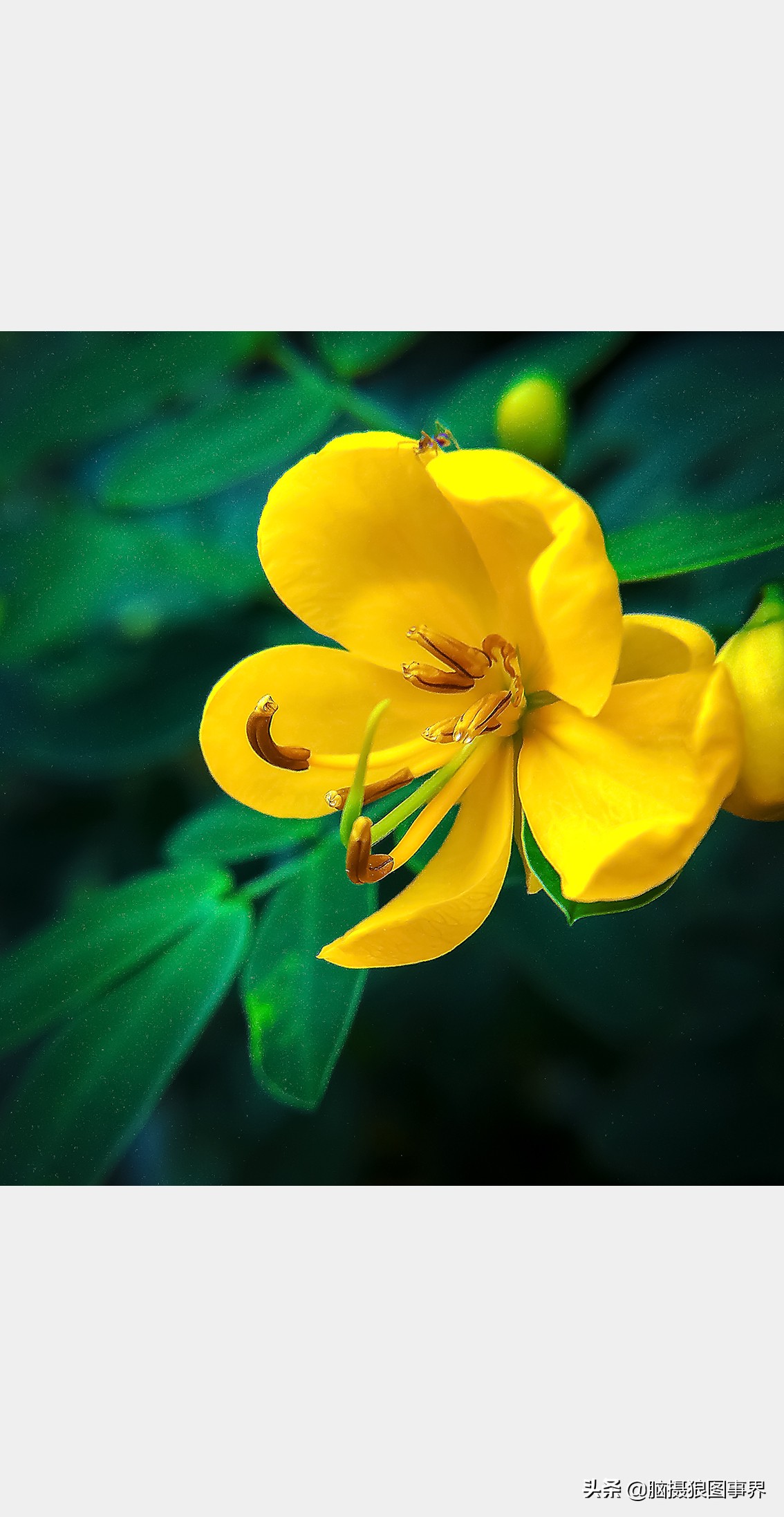 手机拍照不清晰怎么才能拍的好看,vivo手机拍照模糊怎样才能变清晰