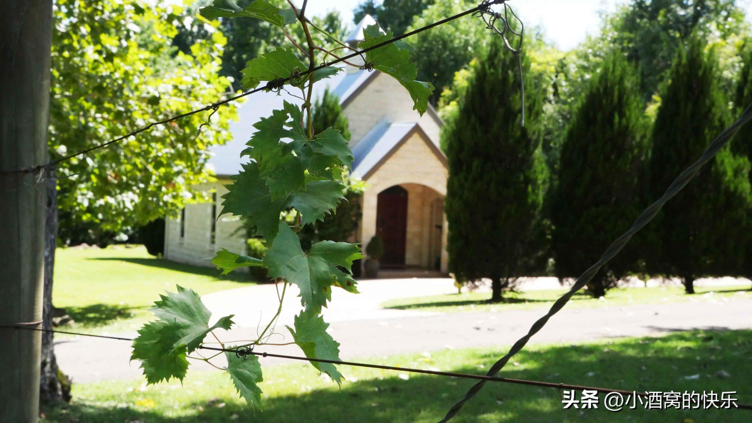 澳大利亚酒庄视频,澳大利亚橡木酒庄介绍