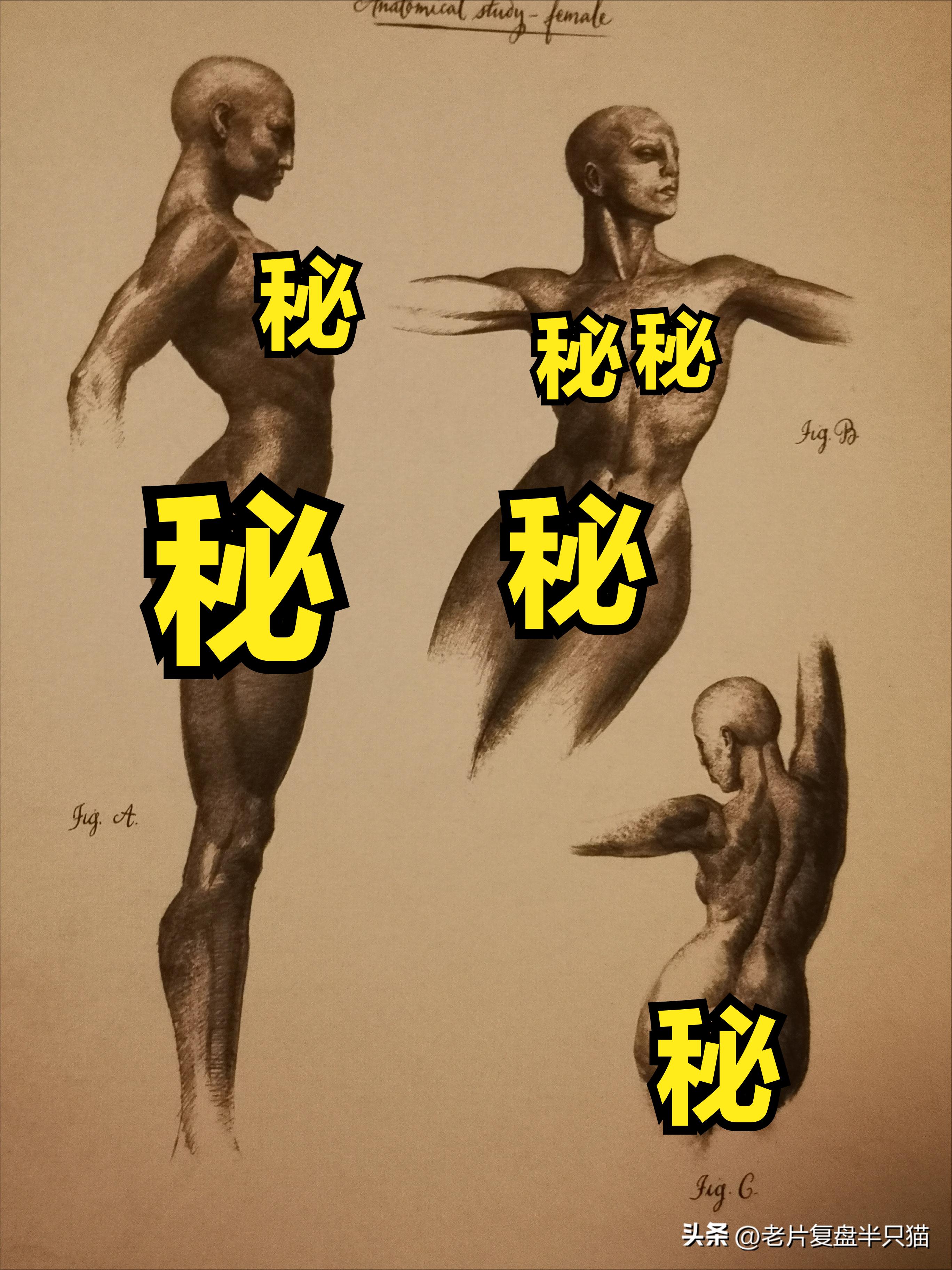 仿生人大卫的秘密,仿生机器人大卫