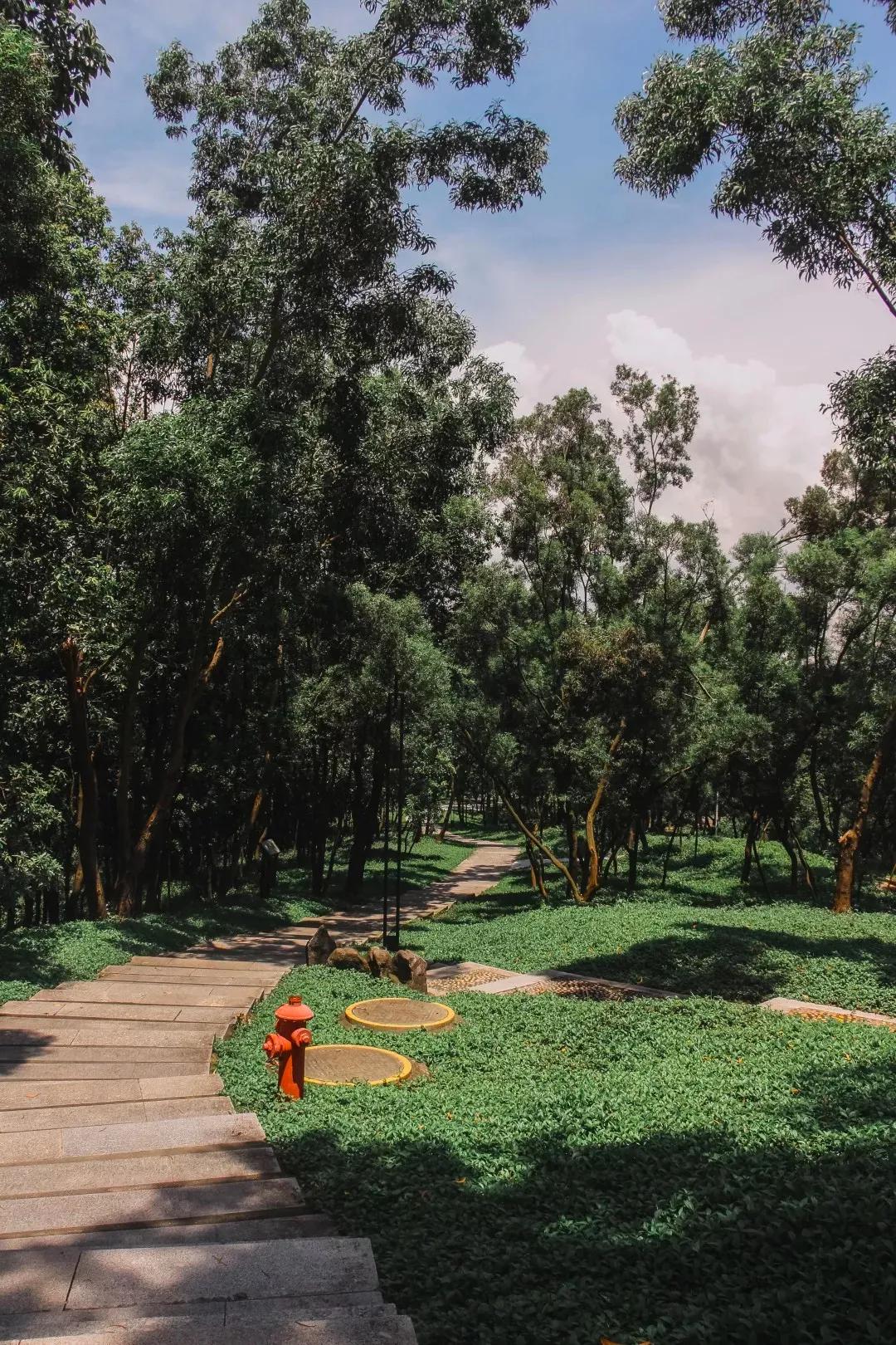 深圳最值得爬的景点,深圳十大最值得爬的山