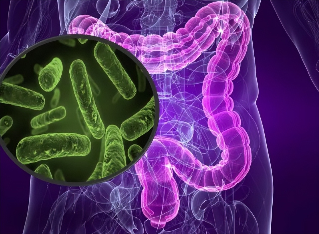 人体卫士和细菌大作战,人体卫士与细菌病毒大作战完整版