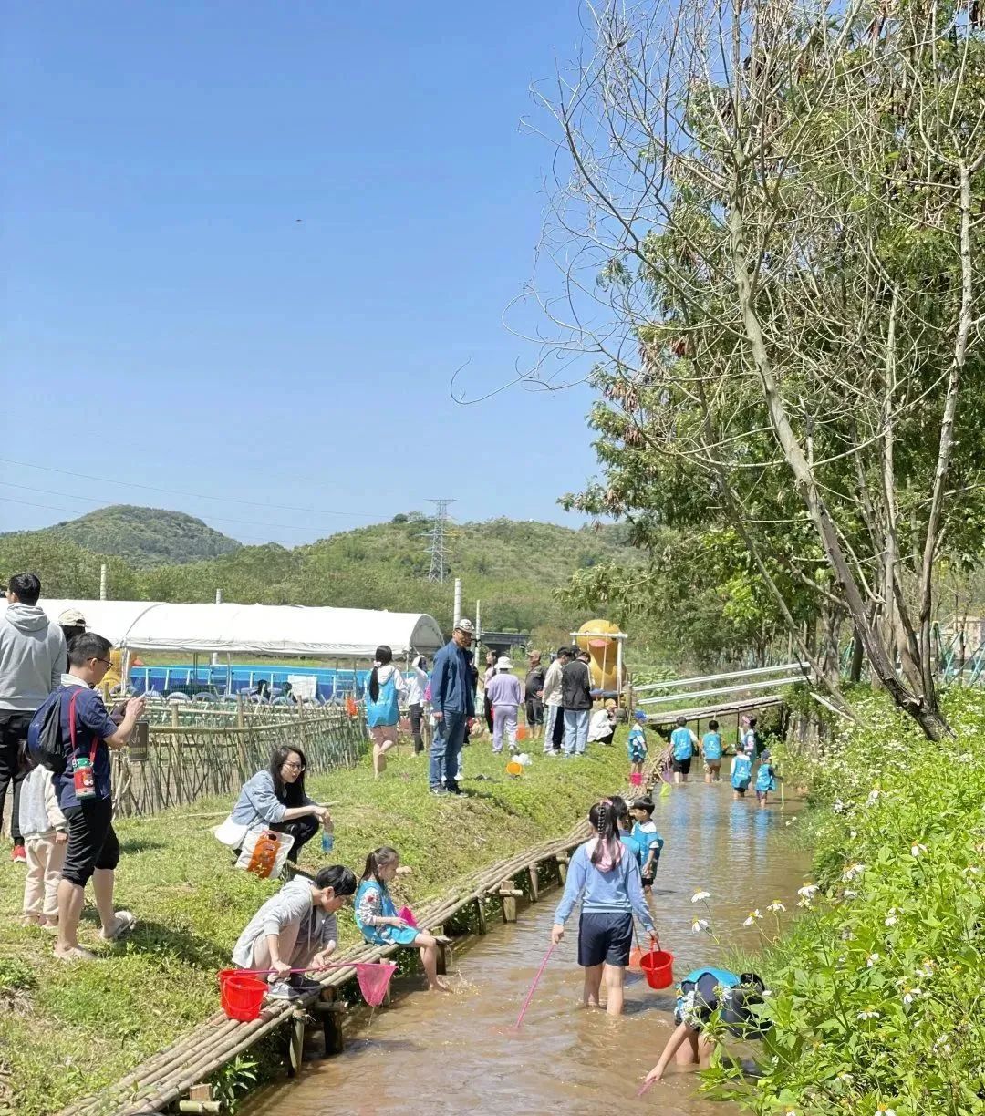 增城网红民宿别墅,增城最美花园亲子民宿