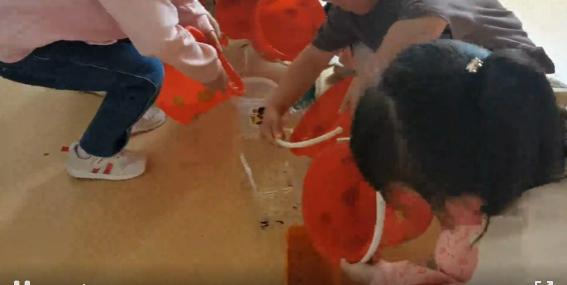 新绛县幼儿园【中四班班本课程】遇见蝌蚪