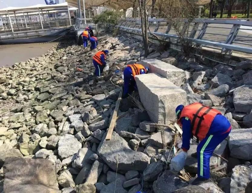 环保市场最新消息,环保市场风向变了