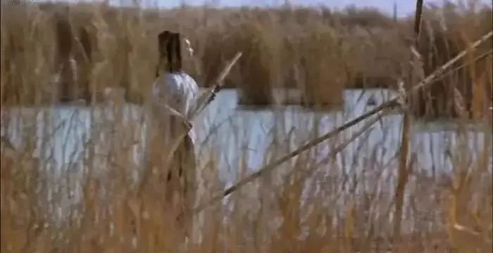 宁夏影视剧,宁夏卫视综艺节目大全