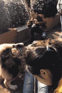 姑娘下次自拍的时候整理一下房间吧，你的秘密都被大家发现啦