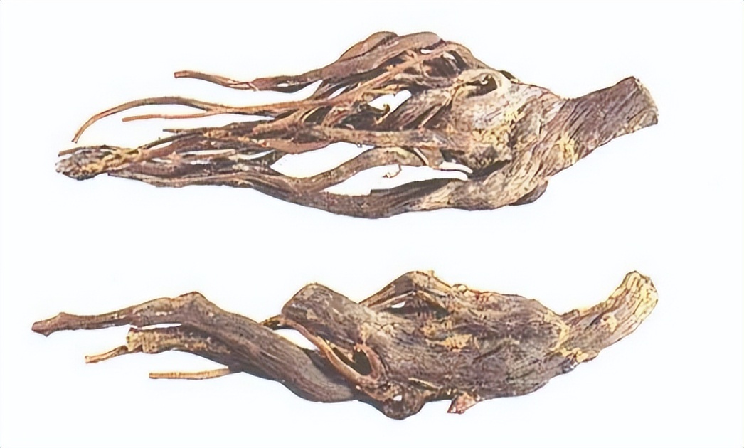 认识红参,带你认识红木