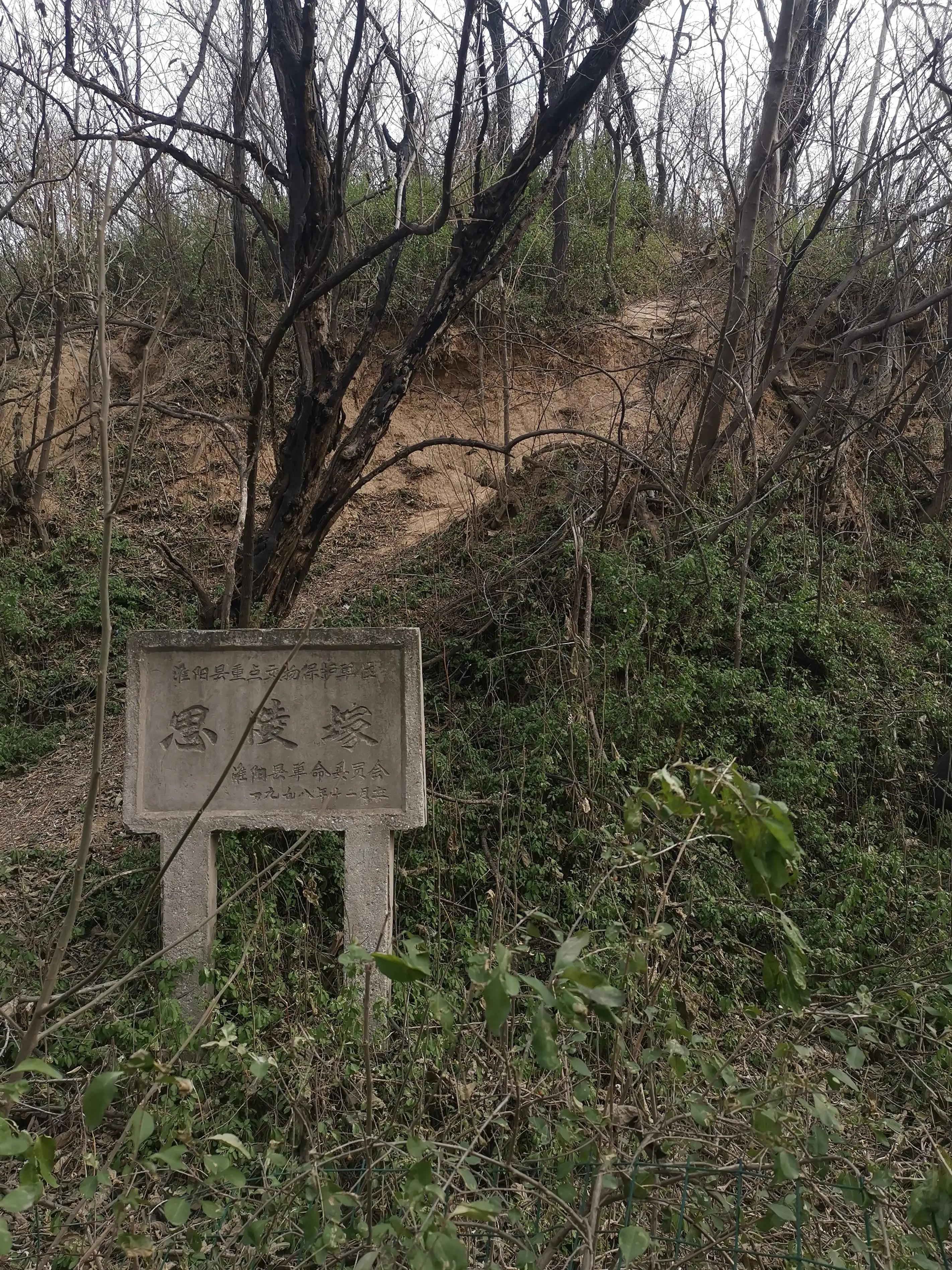 三国演义里的曹植七步赋诗的故事,新三国曹植七步赋诗视频